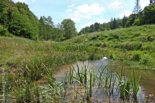 Der Kehrenbach in Nordhessen photo