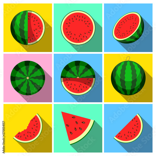 Watermelon. Whole fruit and fresh juicy watermelon slices. Vector illustration icon