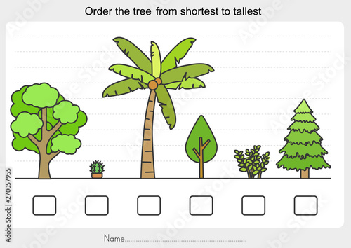Measurement worksheet - Order the tree from shortest to tallest. - Worksheet for education.