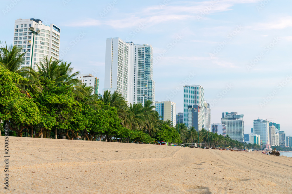 Green tropical trees on beach with tall hotels and clear sand