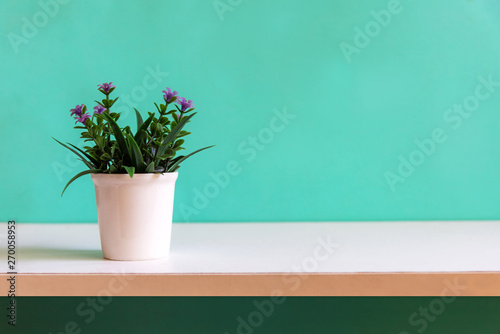 Green wall with flower on shelf white wood, copy space for text. Still life and Lifestyle Concept