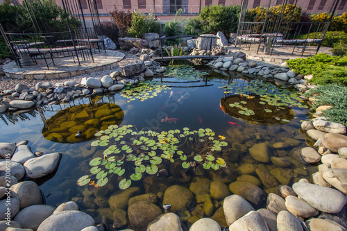 Beautiful small pond with fishes