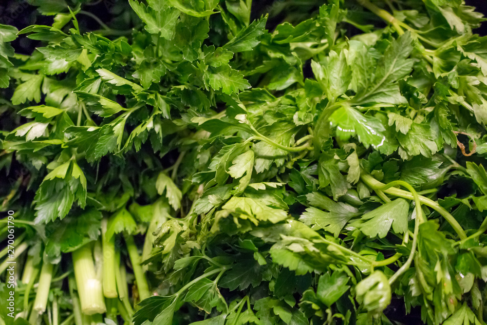 Several units of flat leaf parsley