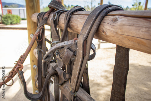Vintage leather horse bridle saddle straps hang off a wooden fence to a corral