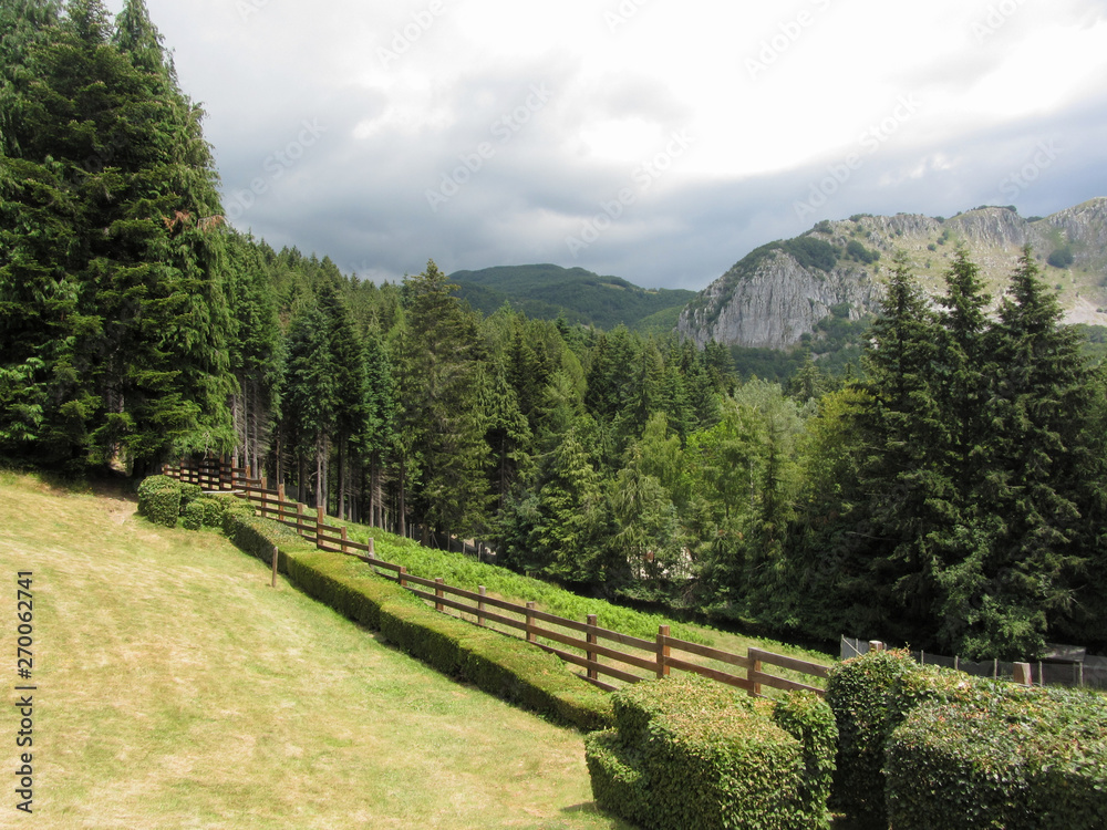 View of the Pania di Corfino mountain from the Orecchiella Nature Park in summer . Lucca, Italy