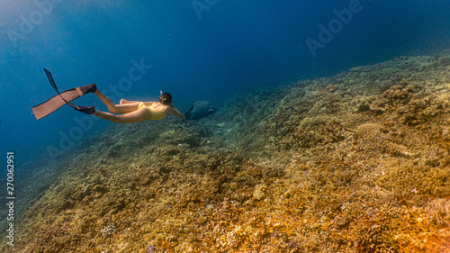 Young female free diver chasing a massive reef fish in a shallow and pristine coral reef system.