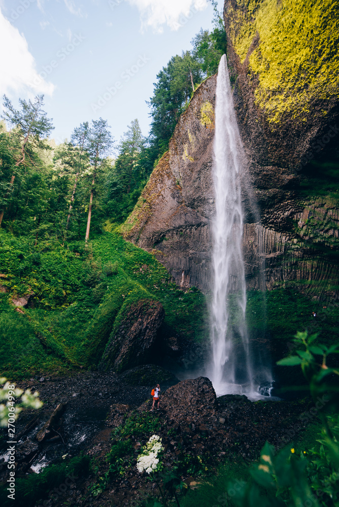 Obraz premium Lush PNW Waterfall