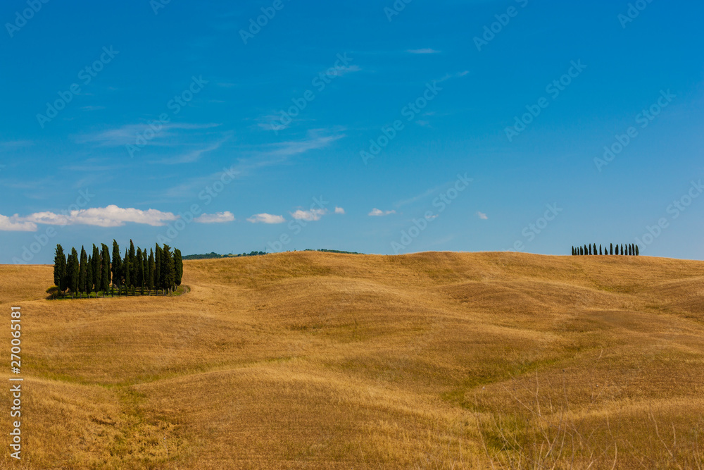 Obraz premium Tuscany landscape