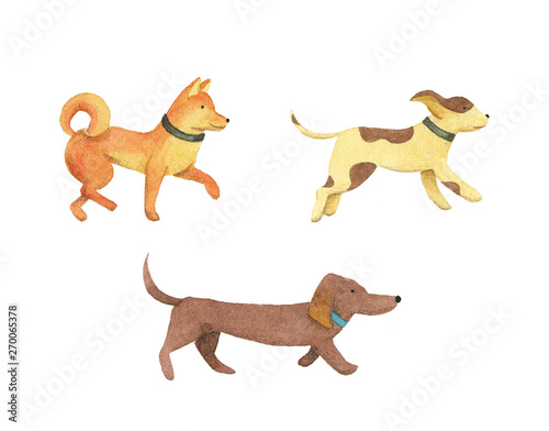 Cute Watercolor dogs. isolated illustration.