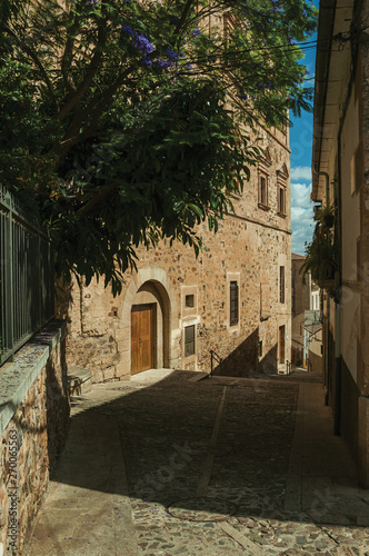 Alley with staircase amidst old stone buildings and flowering trees at Caceres