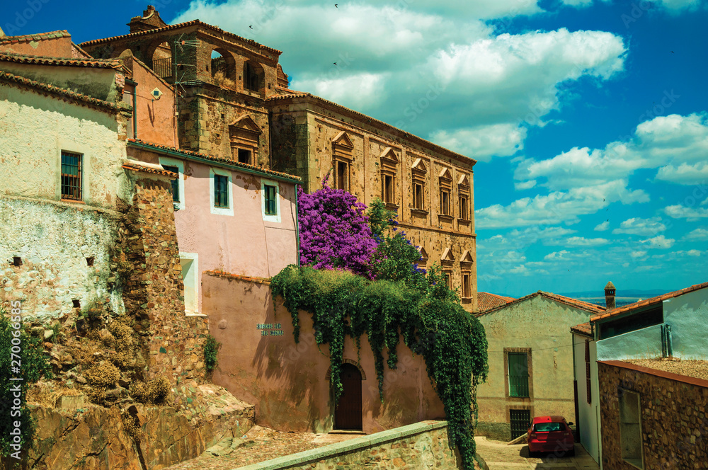 Old buildings and flowering trees over an alleyway with car at Caceres