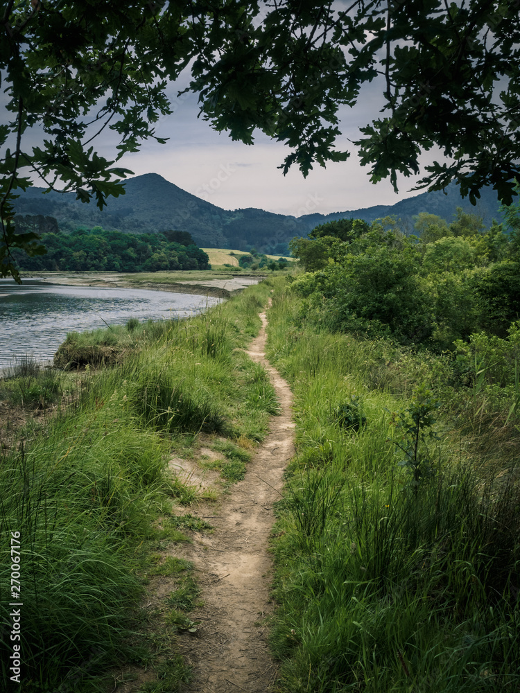 Path through the marshes in the Biosphere Reserve of Urdaibai during a cloudy day in the Basque Country Path through the marshes in the Biosphere Reserve of Urdaibai during a cloudy day in the Basque Country
