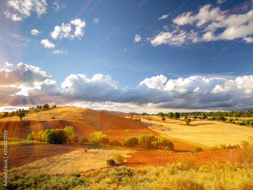 Landscape of a field in Castilla y Leon in Spain.