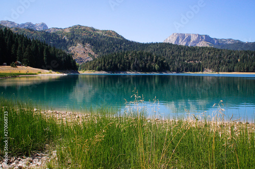 Paradise views of the national park Durmitor in Montenegro. Turquoise water of the lake, pine forest and mountains. Stunning background with nature.