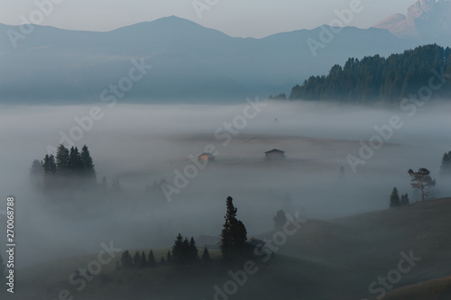 mystery fog over the alpe di siusi in the morning, italy