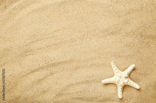 Starfish on beach sand