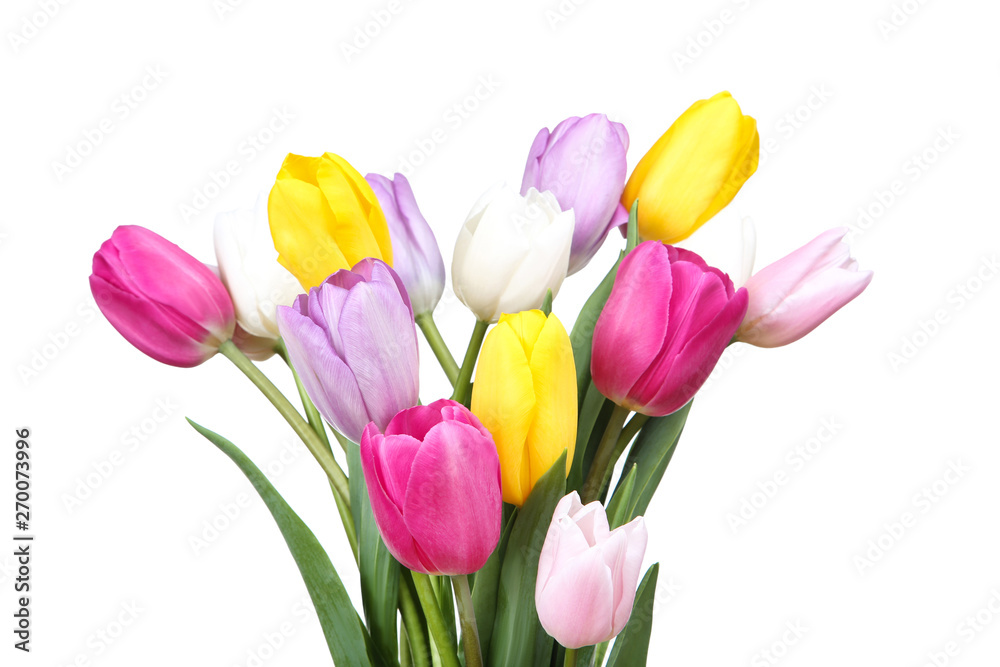 Bouquet of tulip flowers on white background