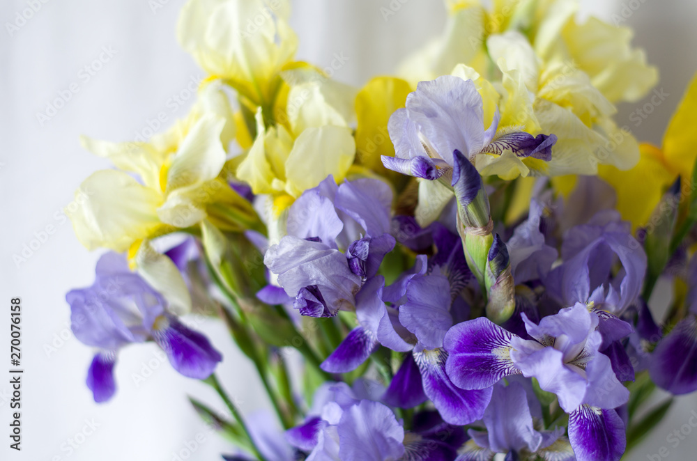 Bright bouquet of delicate yellow and blue irises