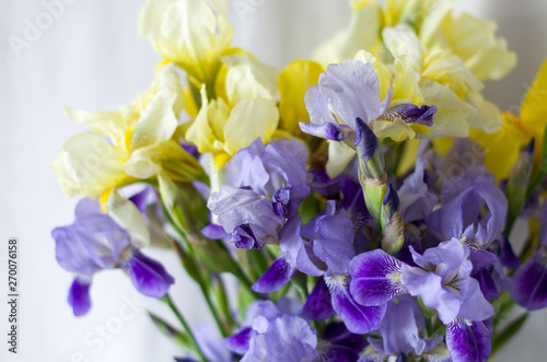 Bright bouquet of delicate yellow and blue irises © irinaso