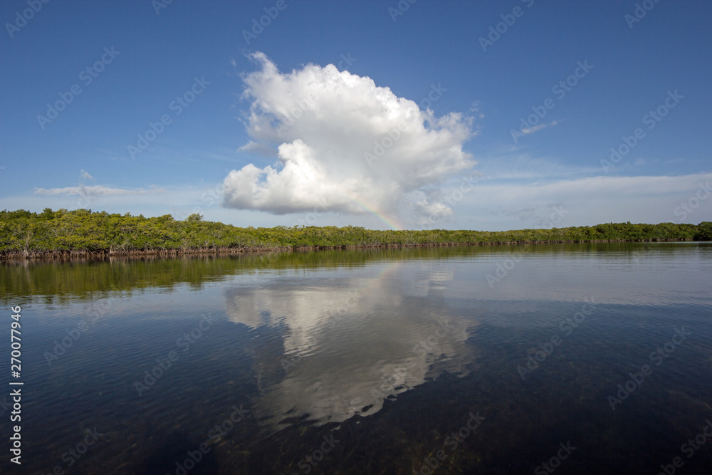 Cloudscape and Mangrove coast relfected in the waters of Biscayne National Park, Florida. Cloudscape and Mangrove coast relfected in the waters of Biscayne National Park, Florida.