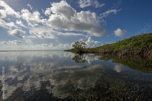 Cloudscape and Mangrove coast relfected in the waters of Biscayne National Park, Florida.