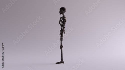 Black Iron Skeletal System Anatomical Model Left View 3d illustration 3d render