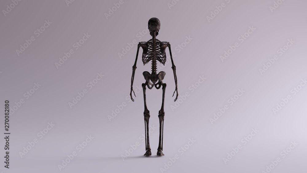 Black Iron Skeletal System Anatomical Model Back View 3d illustration 3d render