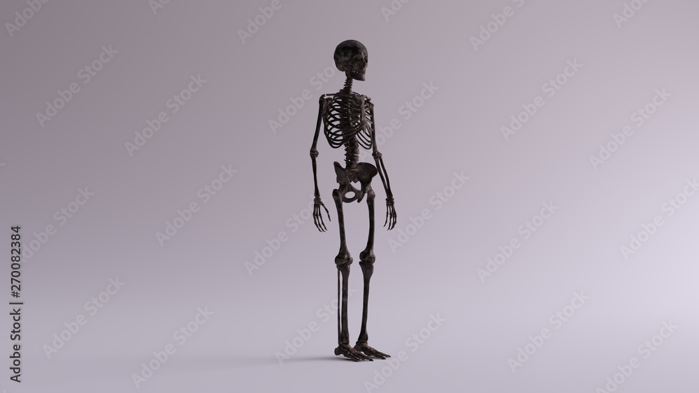 Black Iron Skeletal System Anatomical Model 3 Quarter Front Right View 3d illustration 3d render Black Iron Skeletal System Anatomical Model 3 Quarter Front Right View 3d illustration 3d render