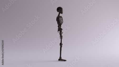 Black Iron Skeletal System Anatomical Model Right View 3d illustration 3d render photo