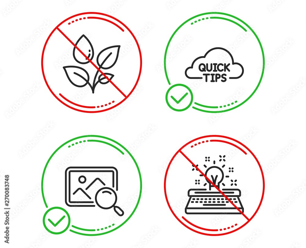 Do or Stop. Quick tips, Search photo and Plants watering icons simple set. Typewriter sign. Helpful tricks, Find image, Water drop. Inspiration. Business set. Line quick tips do icon. Vector Do or Stop. Quick tips, Search photo and Plants watering icons simple set. Typewriter sign. Helpful tricks, Find image, Water drop. Inspiration. Business set. Line quick tips do icon. Vector