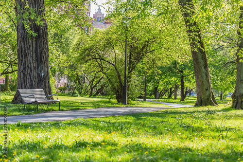 Fototapeta Naklejka Na Ścianę i Meble -  Fresh green grass field and walking path in outdoor park