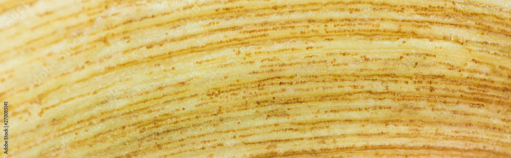 panoramic shot of yellow ripe banana textured peel panoramic shot of yellow ripe banana textured peel