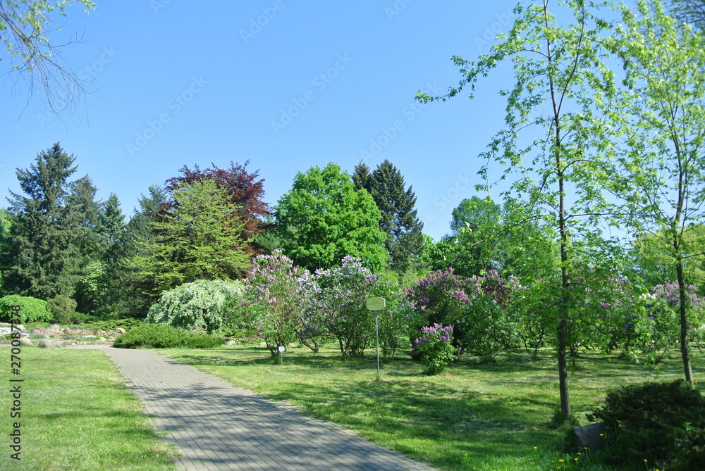 tree, landscape, nature, grass, green, park, sky, trees, summer, road, forest, garden, meadow, field, blue, path, spring, sunny, lawn, rural, day, beautiful, cloud, panorama, clouds tree, landscape, nature, grass, green, park, sky, trees, summer, road, forest, garden, meadow, field, blue, path, spring, sunny, lawn, rural, day, beautiful, cloud, panorama, clouds