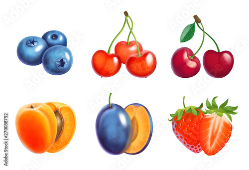 Fototapeta Naklejka Na Ścianę i Meble -  Fruit and berries  illustration