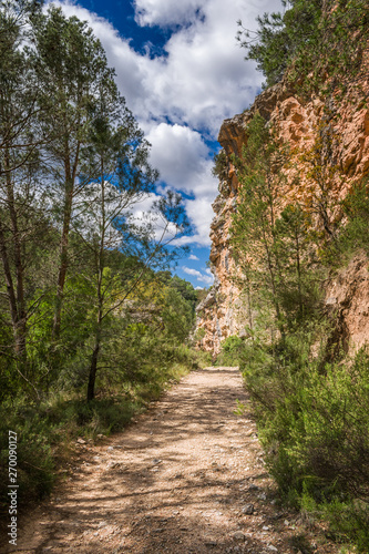 Road in forest. Hiker route in the "Hundido de Armallones ", in the Alto Tajo Natural Park, Guadalajara, Spain.