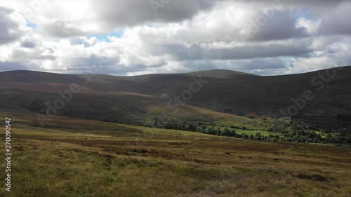 livestock grazing on mountain during Autumn day