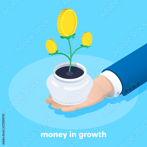 isometric vector image on a blue background, a man in a business suit holds in his hand a pot with a growing money tree