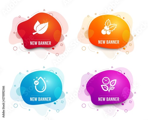 Liquid badges. Set of Vitamin e, Mint leaves and Christmas holly icons. Leaves sign. Oil drop, Mentha herbal, Ilex aquifolium. Grow plant.  Gradient vitamin e icon. Flyer fluid design. Abstract shapes