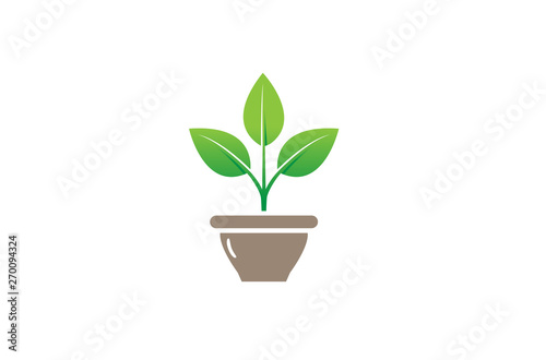 Creative Flower Plant Bowl Vase Logo Design Symbol Vector Illustration