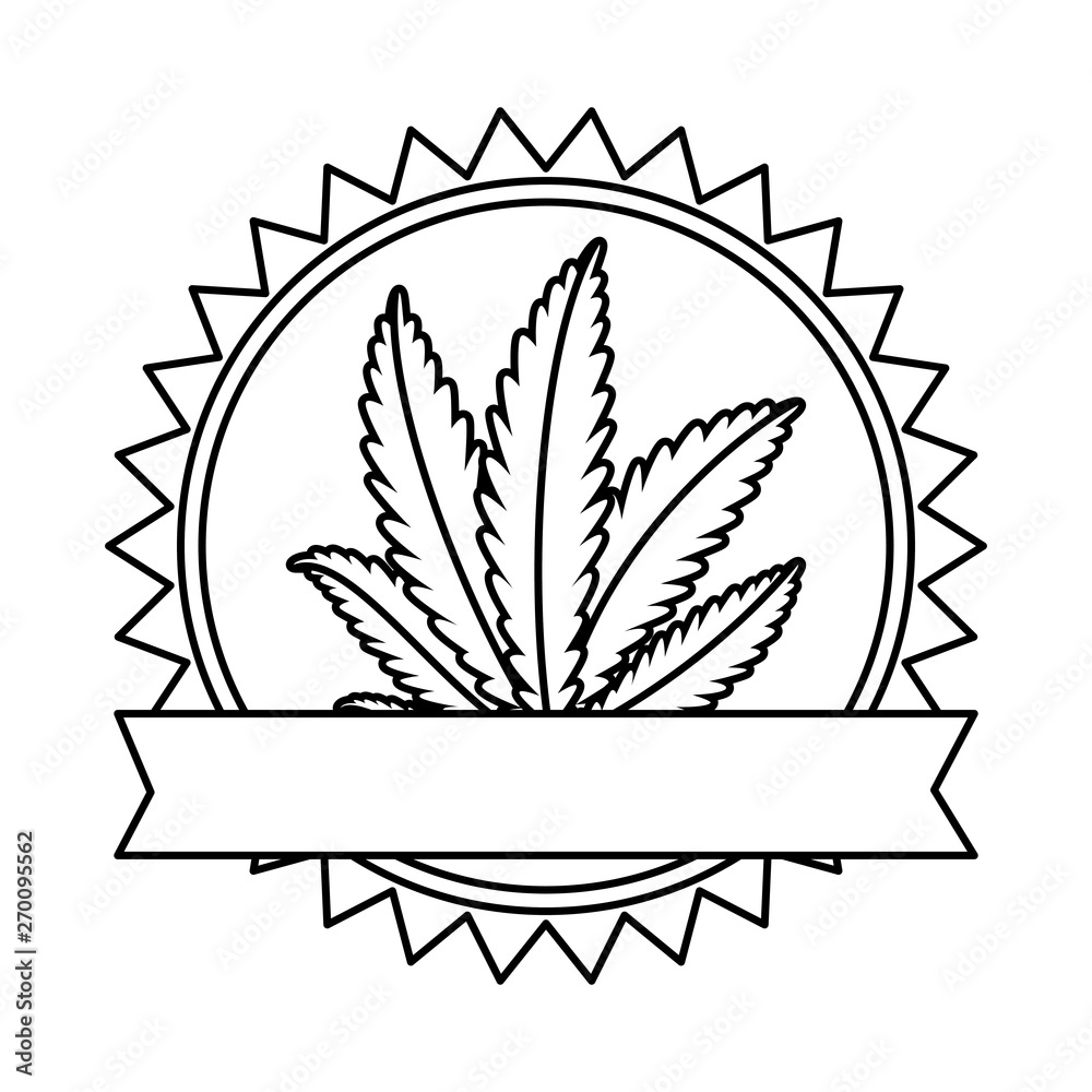 cannabis plant leafs nature frame cannabis plant leafs nature frame