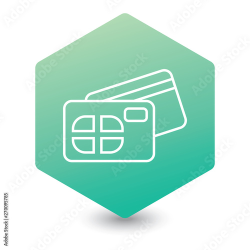 Credit card Icon