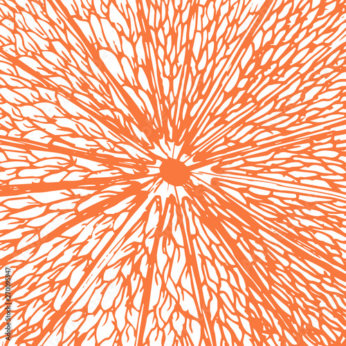 Vector fresh ripe slice of orange on white. Healthy food logo