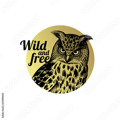 Forest bird. Head of Owl closeup and the inscription "Wild and free."