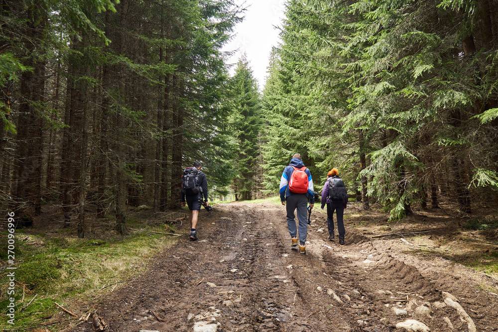 Backpackers on a hiking trail