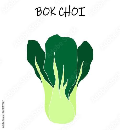 Vector illustration of bock choi, also pak-choi, Chinese kale. Vegetarian food in modern flat desigh.