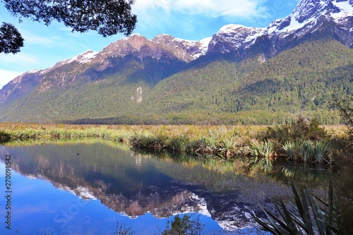 Tranquility- reflections view of Fiordland taken at Milford Sound  New Zealand