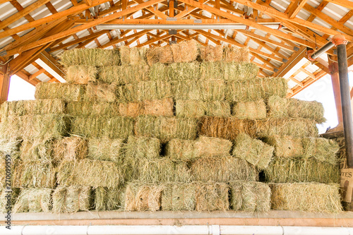  Hay stacked high in a barn