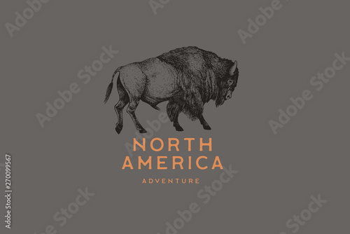 Hand drawing of American bison in retro engraving style. Buffalo in graphic vintage style. Vector logo template.