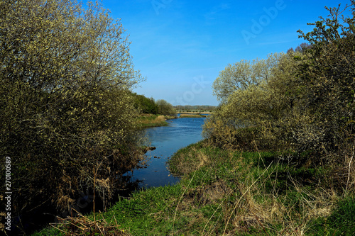 Overgrown River Bank on a Spring Day