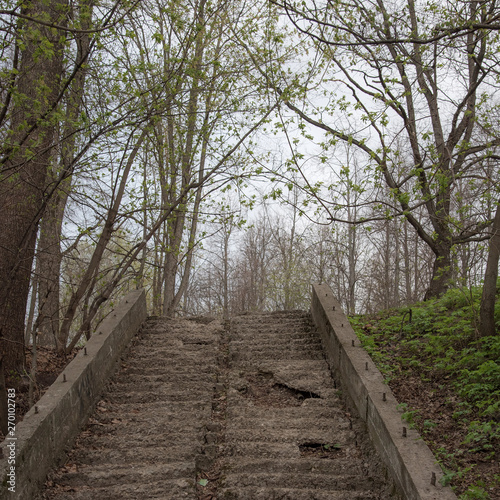 Old stairs in the park  with ruined  crumbling and grass-covered steps. Gloomy  mystical toning. Concept of devastation.